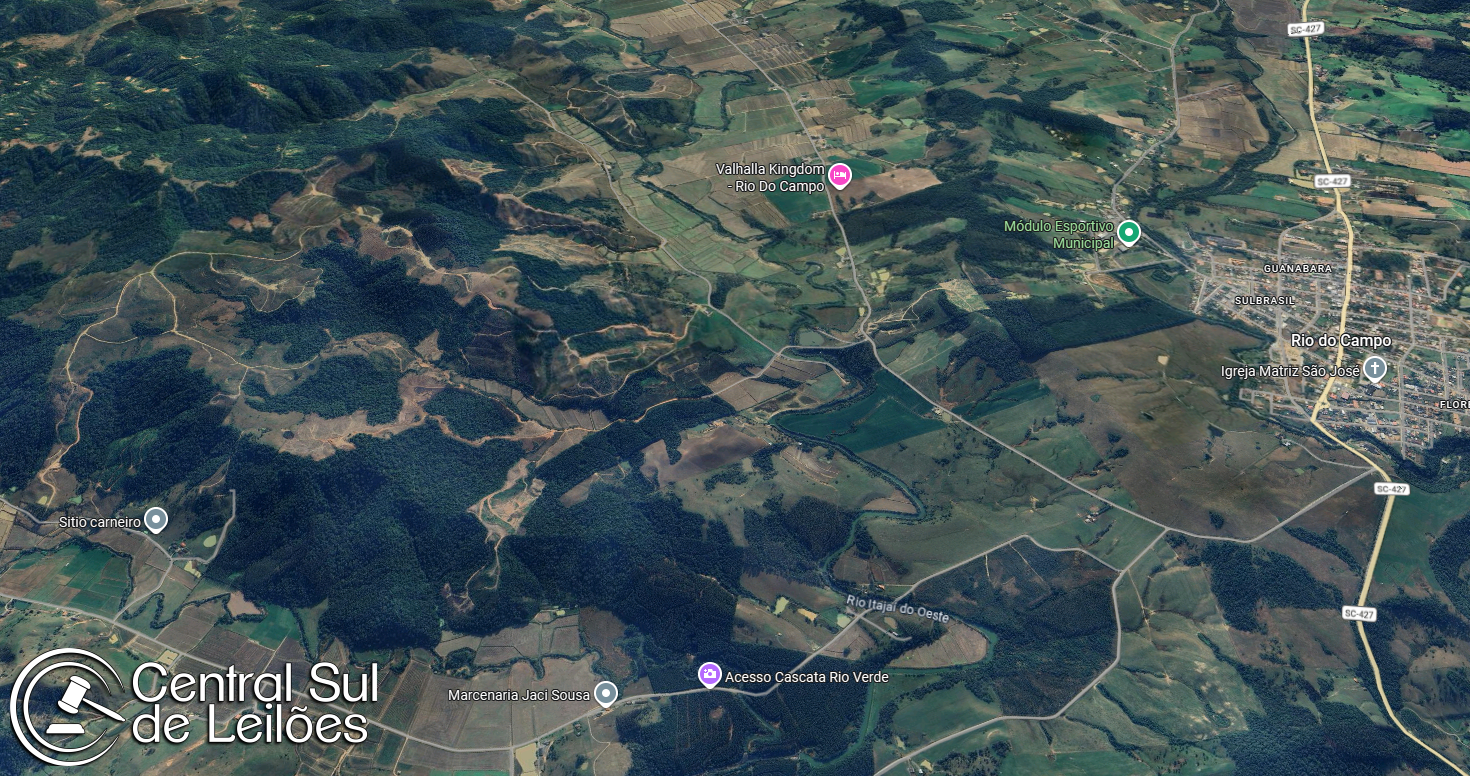260 (duzentas e sessenta) árvores da espécie eucalipto, inseridas em uma área aproximada de 2 (dois) hectares