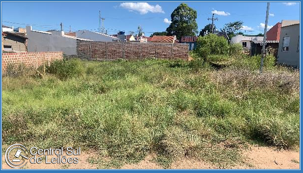 Imagem principal do lote