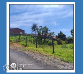 Imagem principal do lote