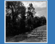 Foto principal do lote ITEM455 - Gleba Área B, com 11.562,00m² de área de terreno, bairro Mato Dentro, em ATIBAIA/SP do leilão 2º LEILÃO CAIXA - Nº 0077/0225 CPA/RE em Florianópolis.