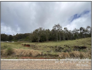 Foto principal do lote ITEM370 - Terreno no LT 03, com 4.548,35m² de área de terreno, Centro, em BARAO/RS do leilão Licitação Aberta CAIXA - Nº 0077/0325 CPVE/RE em Florianópolis.