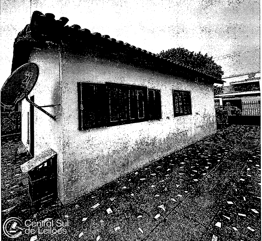 miniatura-3