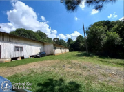 Imagem do lote